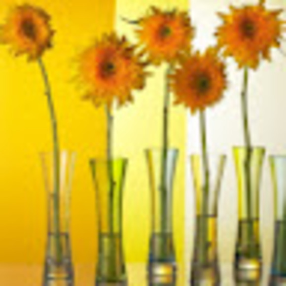 Meet your Posher, Angela - Picture 1 of 1